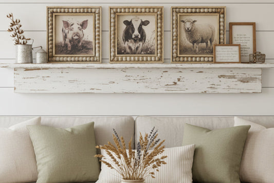 Three framed pictures of farm animals on a checkered tablecloth.